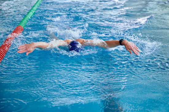 Bild von Schwimmtraining Delfin