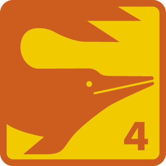 Bild von Schwimmtechnik 1-4 (Wal bis Delfin) (ab 7-jährig)